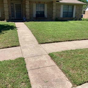 yard care by Top Dog Services reviewed on July 16, 2023