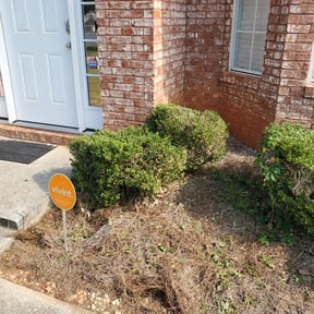 Bush Trimming by Colt's cuts reviewed on April 13, 2024