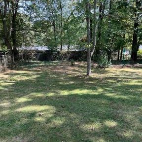 Leaf Removal by Cascadia Landscaping reviewed on October 1, 2025