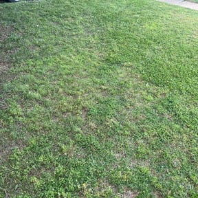 Flower Bed Weeding by FreshStartMHC LLC reviewed on June 4, 2026