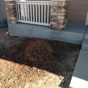 Bush Trimming by KIELS LAWNCARE PROPERTY MAINTENANCE LLC reviewed on November 18, 2025