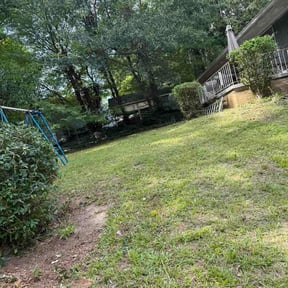 Bush Trimming by Kings lawn care reviewed on August 4, 2026