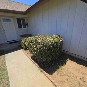 Bush Trimming by TruGreen LawnCare reviewed on March 4, 2025