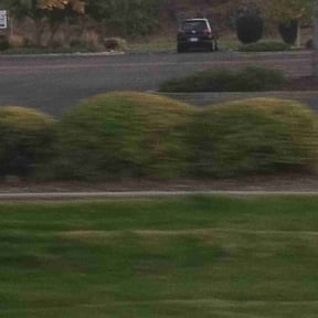 Bush Trimming by Tulsa Lawn Care reviewed on October 24, 2025