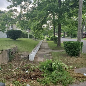 Bush Trimming by Krieg lawn care reviewed on November 24, 2025