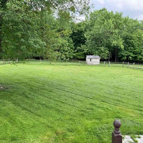 landscaping services by M&amp;N lawncare reviewed on September 14, 2023