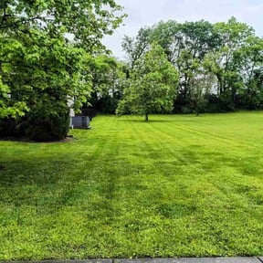 yard care by LawnStar reviewed on August 16, 2025