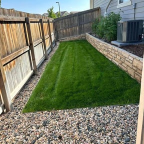 turf care by CACTUS PRIME VENTURES LTD reviewed on June 16, 2022