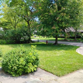 turf care by Greenstate Landscaping LLC reviewed on May 29, 2025