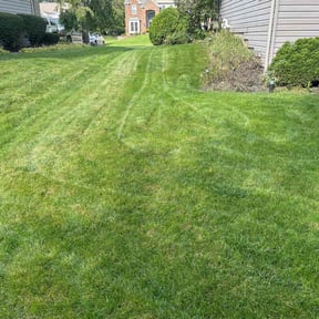 landscaping services by Premium Design Landscaping Inc reviewed on August 16, 2025