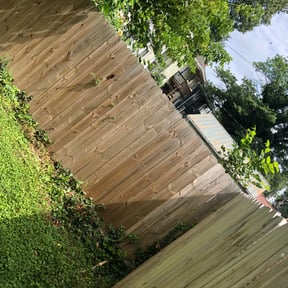 Bush Trimming by Alo's lawn care services LLC reviewed on August 20, 2025