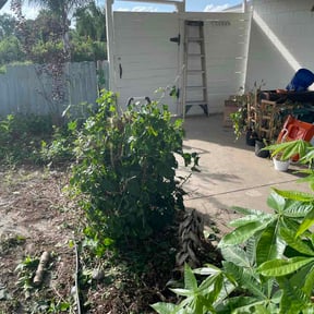 Bush Trimming by Abney's lawncare reviewed on July 8, 2026