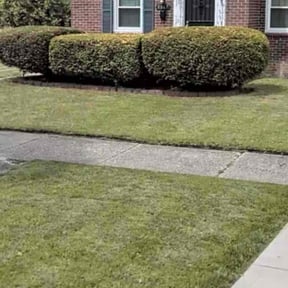 Bush Trimming by JLC Landscape and Lawn Care reviewed on November 25, 2025