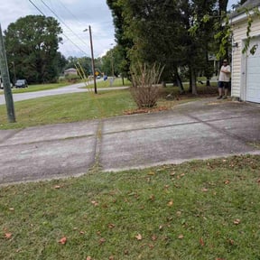 Bush Trimming by Antonio’s Lawn Care reviewed on January 6, 2026