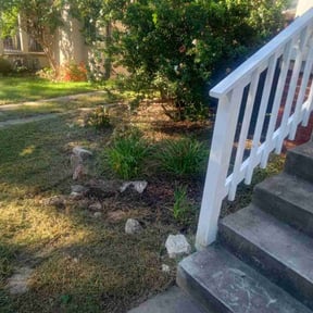 Leaf Removal by Curb Appeal Pro(s) LLC reviewed on September 22, 2025