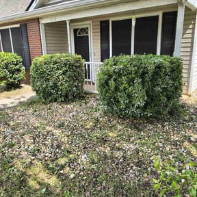 Bush Trimming by The yard guy's  reviewed on December 4, 2025