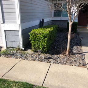 Bush Trimming by E.M.G Landscape Design, reviewed on August 19, 2025