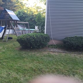 Bush Trimming by C.A.G Lawncare reviewed on November 21, 2025