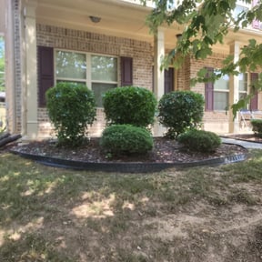 Bush Trimming by Jose&Jose Landscaping reviewed on August 17, 2025