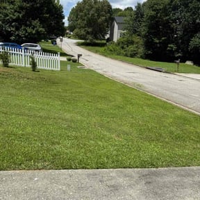 gardening service by Whites Lawn Care reviewed on August 20, 2025