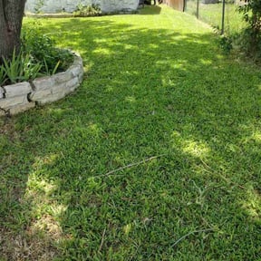 lawn maintenance by Candanoza Lawn Service reviewed on October 1, 2024