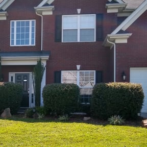 Bush Trimming by DmW Lawn care reviewed on June 4, 2023