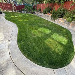 lawn care services by Tikitiki Garden Service reviewed on April 15, 2025