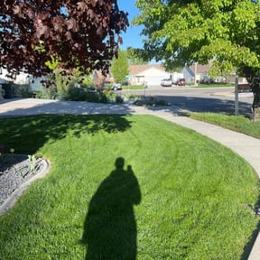 yard maintenance by Aguilar Landscaping & Tree Services LLC reviewed on August 21, 2025
