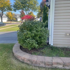 Bush Trimming by JG Lawn Care reviewed on October 20, 2025