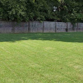 yard maintenance by Grass guys reviewed on August 13, 2025
