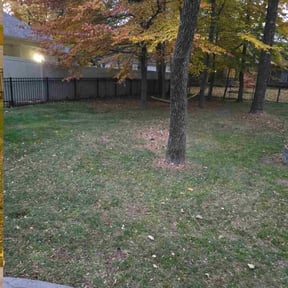 Leaf Removal by Larry's Leaf N Lawn reviewed on November 20, 2025