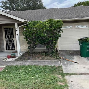 Bush Trimming by Together United Services LLC reviewed on December 9, 2025