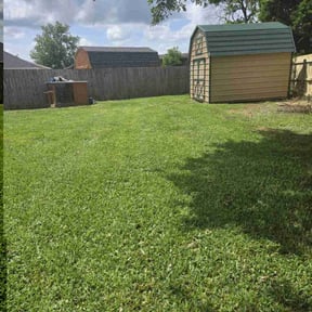 turf care by Rivera landscaping reviewed on August 18, 2025