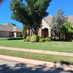 lawn care by Time's lawn care reviewed on March 14, 2023