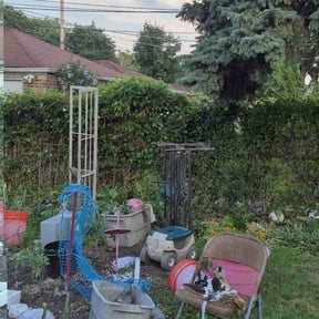 Bush Trimming by Los Sebas landscape reviewed on October 18, 2025