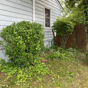 Bush Trimming by Countryside lawn and garden reviewed on November 22, 2025