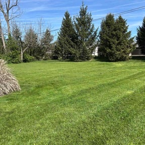 landscape maintenance by Ramos landscape care reviewed on December 24, 2025