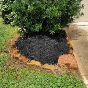 Mulching by McDannell Improvements reviewed on August 21, 2025