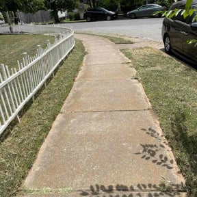 turf maintenance by Ron's lawn care reviewed on September 29, 2023
