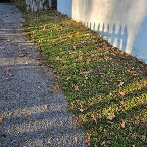 Leaf Removal by Terry's Lawn Service reviewed on November 29, 2025