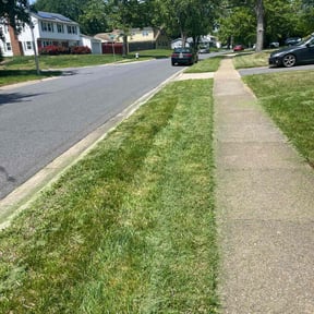 turf care by Let Us Mow reviewed on April 9, 2024