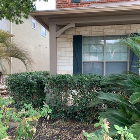 Bush Trimming by A&amp;L Lawncare reviewed on April 22, 2024