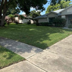 Bush Trimming by Lawn Busters LLC reviewed on June 1, 2022