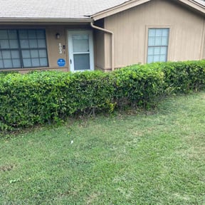 Bush Trimming by Mainline irrigation reviewed on October 19, 2025