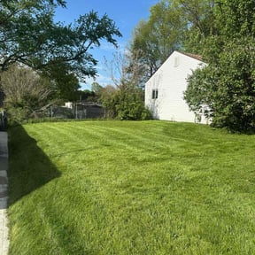 landscape maintenance by Perfect Landscapes reviewed on November 21, 2025