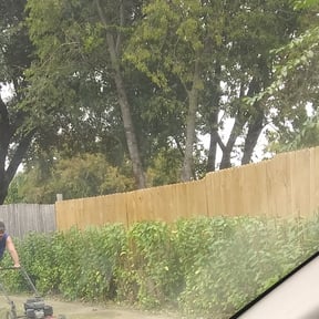 Bush Trimming by AMERICA'S BEST LAWN SERVICE LLC reviewed on August 15, 2025