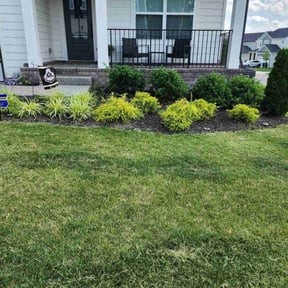 residential landscaping by Matts lawn care reviewed on August 17, 2025