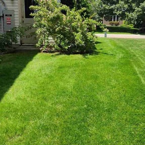 landscaping by D. Nelsons Lawn Care, LLC reviewed on August 15, 2025