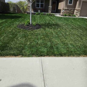 landscaping services by home &amp; lawn care reviewed on December 16, 2025