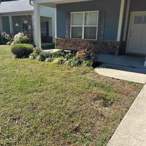 Bush Trimming by RLK Landscaping reviewed on November 23, 2025